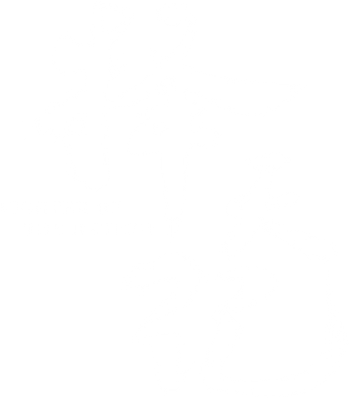 Воин cудьбы