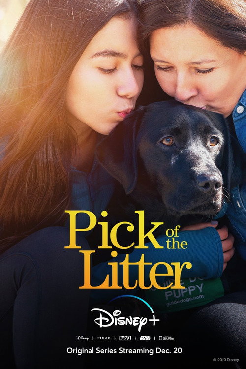 Pick of the Litter 3