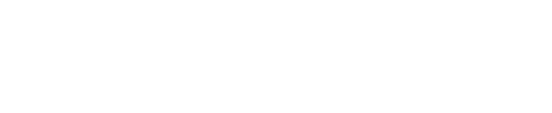 Диктатор