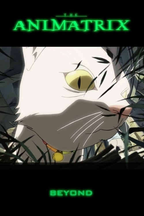 Аниматрица: За гранью