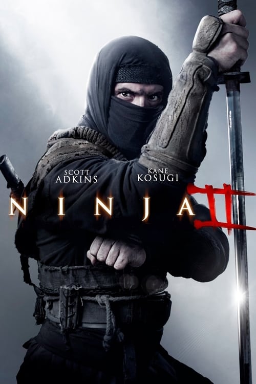 Ниндзя 2 2