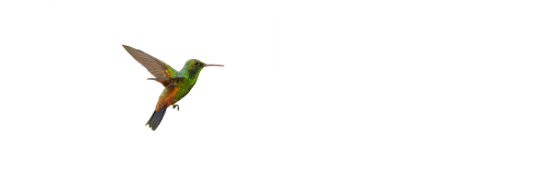Лучшая жизнь