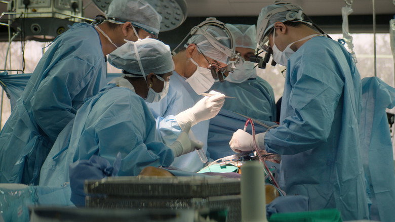 The Surgeon's Cut 2