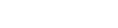 Возвращение