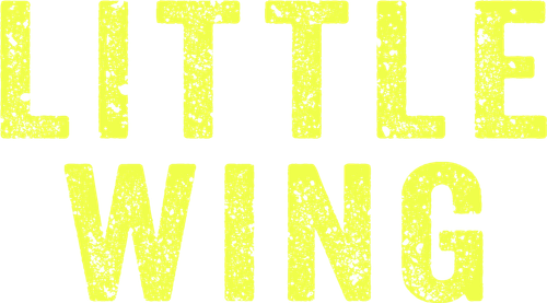 Маленькое крылышко