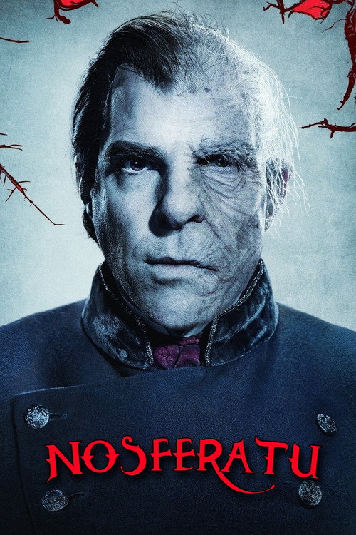 Страна Рождества 12