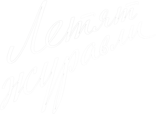 Летят журавли