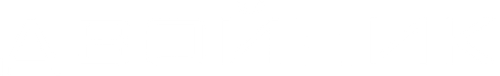Двойник