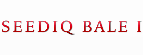 賽德克‧巴萊：太陽旗