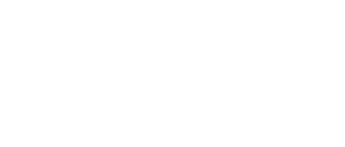 Оккупированные 