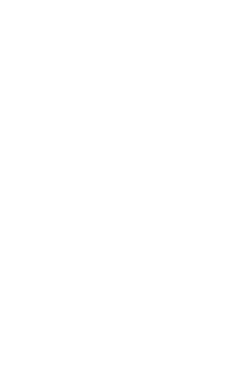 Долгий день уходит в ночь