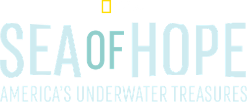 Sea of Hope: America's Underwater Treasures