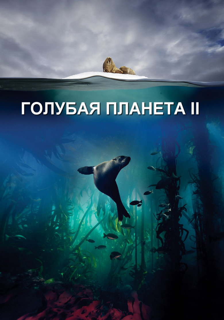 Голубая планета 2 9