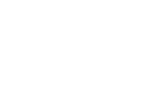 По дороге с Норманом Ридусом