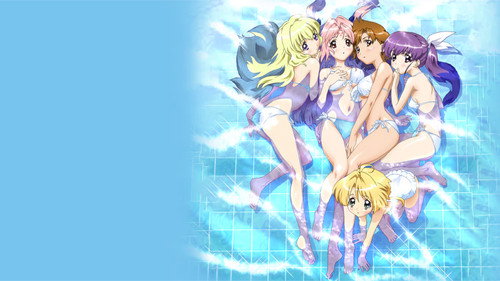 Браво, девушки! 3