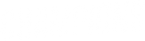 Чемпионы