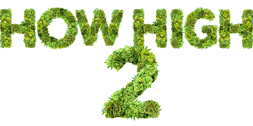 Торчки 2