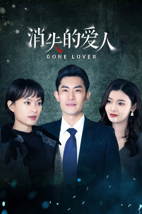 消失的爱人