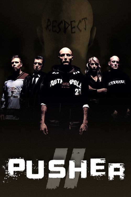 Дилер 2 11