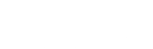 Fievel's American Tails
