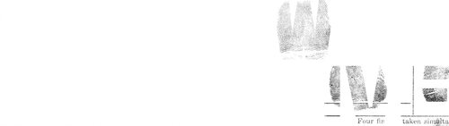 Теневой детектив