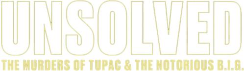 Нераскрытое дело