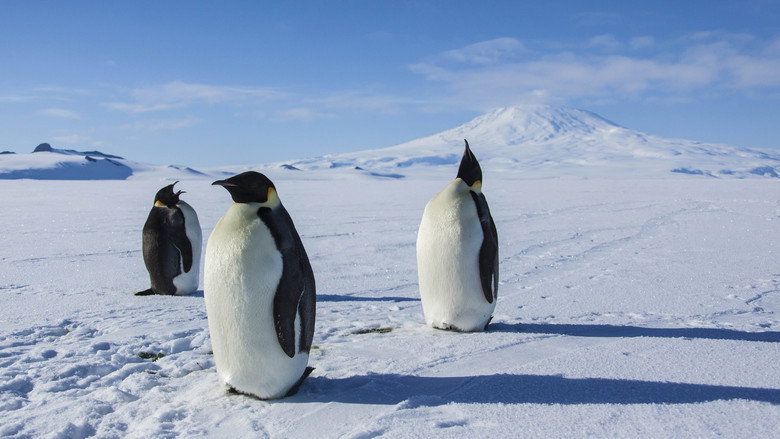 Antarctica: A Year on Ice 3