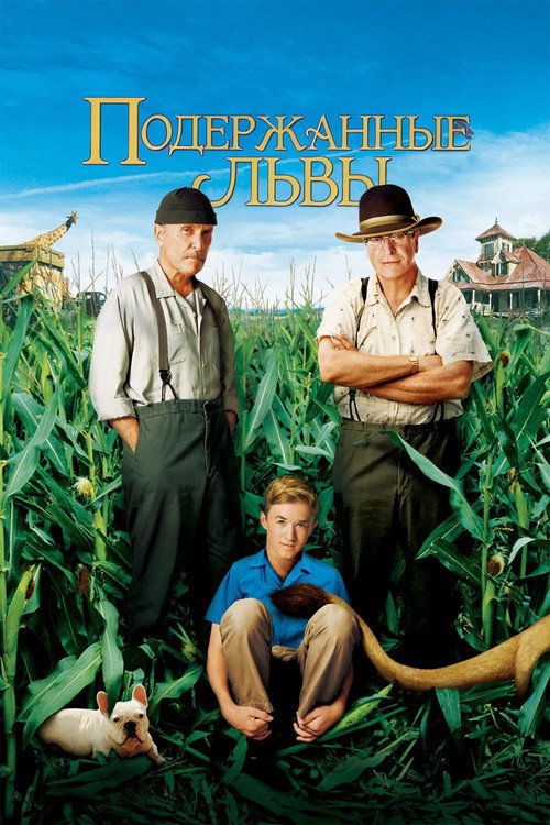 Подержанные львы 10
