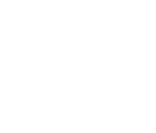 将军家的小儿子