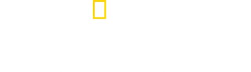 Limitless: Live Better Now