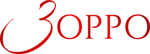 Зорро