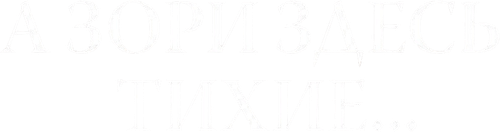 А зори здесь тихие...