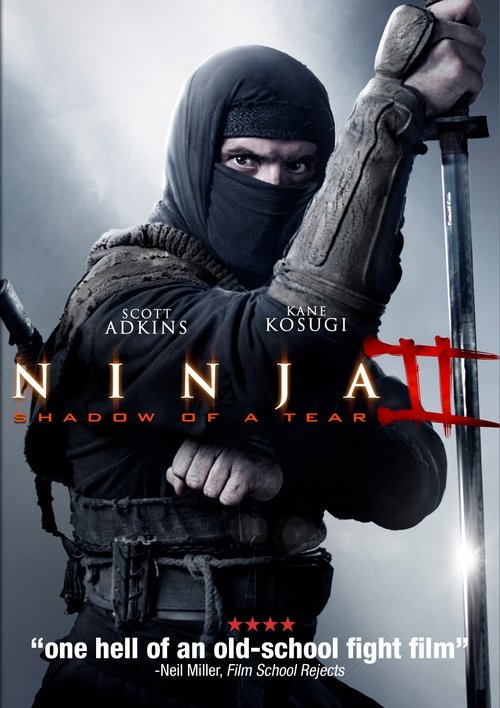 Ниндзя 2 3