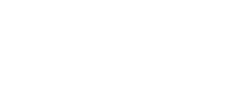 Форсаж: Хоббс и Шоу