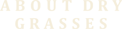 О сухой траве