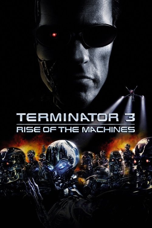 Терминатор 3: Восстание машин 1