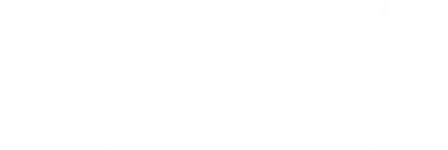 Шина