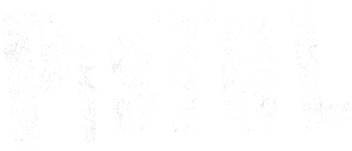 Пистол