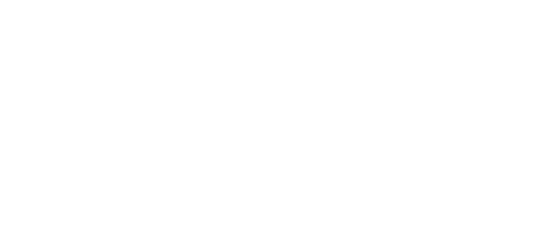 Мисс Хон под прикрытием