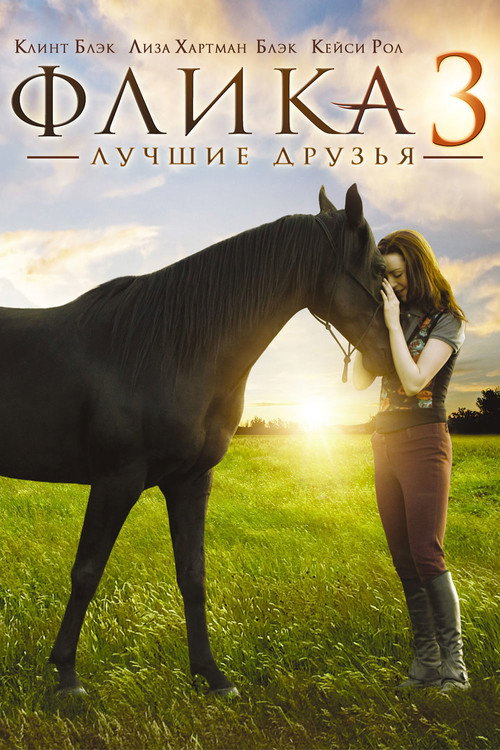 Флика 3 1