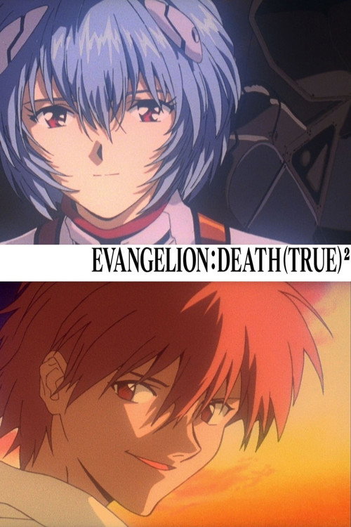 EVANGELION: DEATH (TRUE)² 9