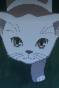 Neko